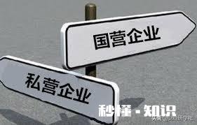 你觉得私营企业和国营企业的优劣势是什么