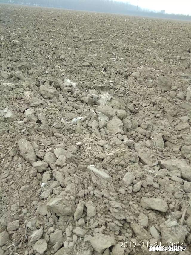 怎样才能上头条