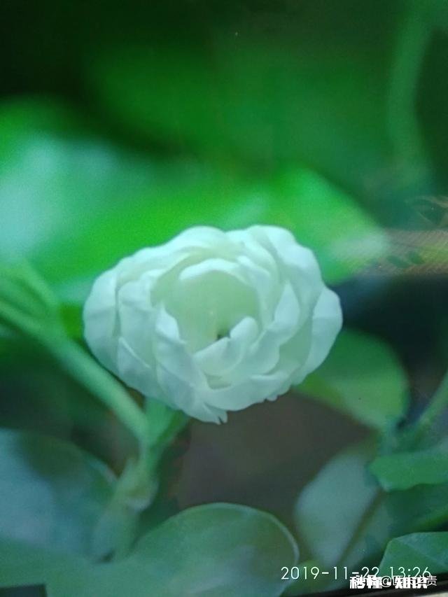 怎样才能上头条