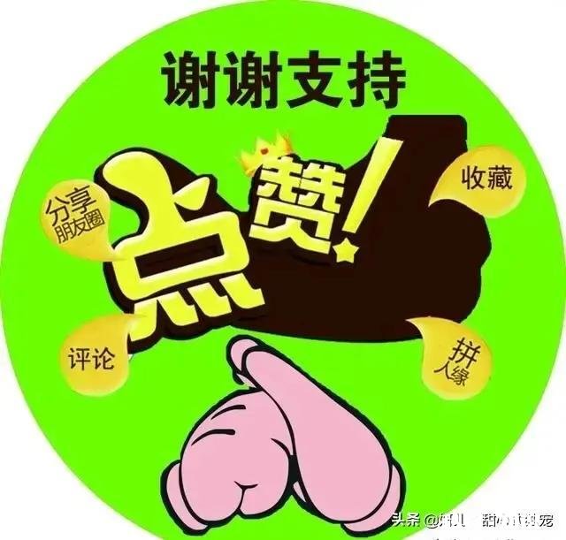 你对头条近段时间出现的问题,如很多人的正能量转发和评论都不显示,你怎么看