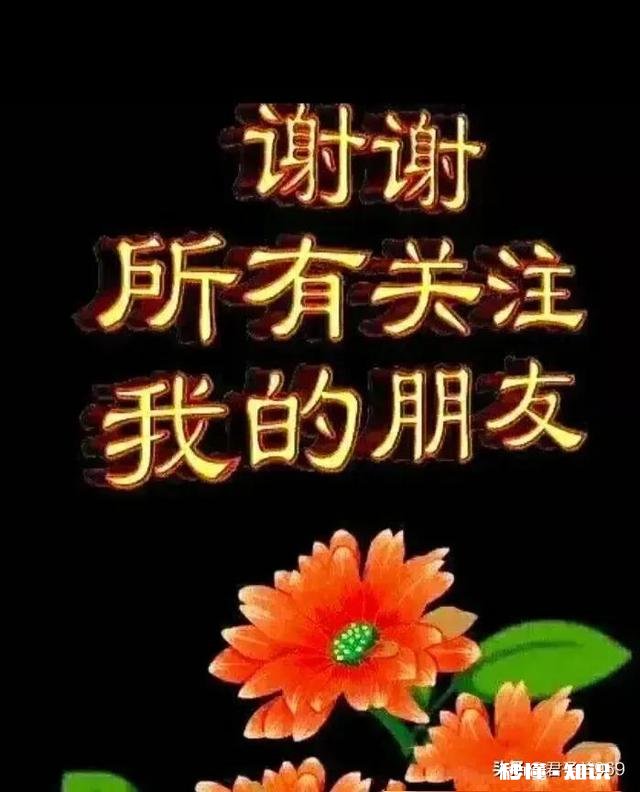 你对头条近段时间出现的问题,如很多人的正能量转发和评论都不显示,你怎么看