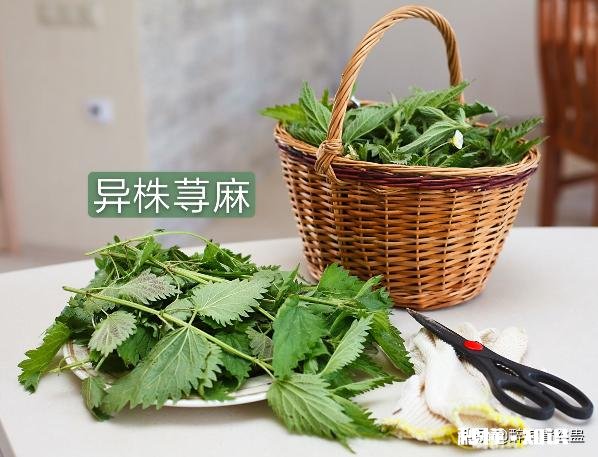 洗了头还是油油的，还“长痘”，这可要怎么办啊