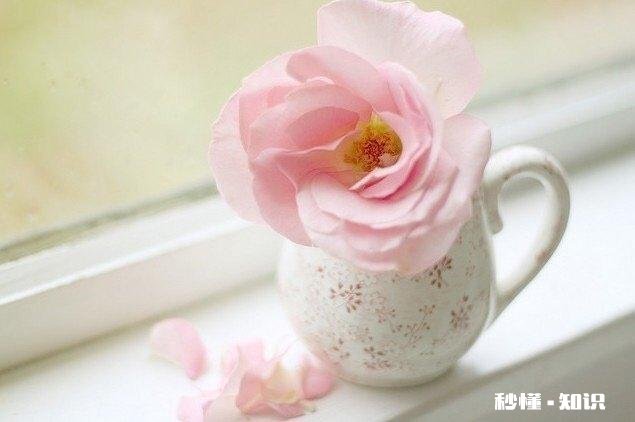 女孩子谈多少次恋爱会被男孩子所不能接受