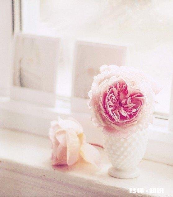 女孩子谈多少次恋爱会被男孩子所不能接受