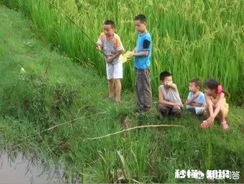 小时候收麦时有哪些趣事