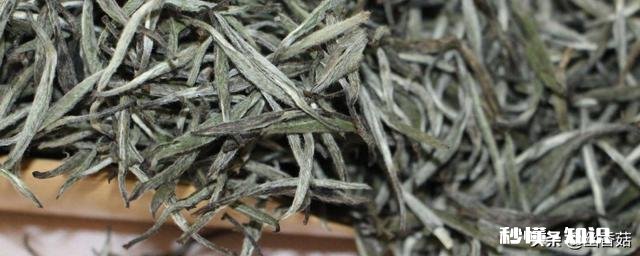 什么茶适合蒸煮