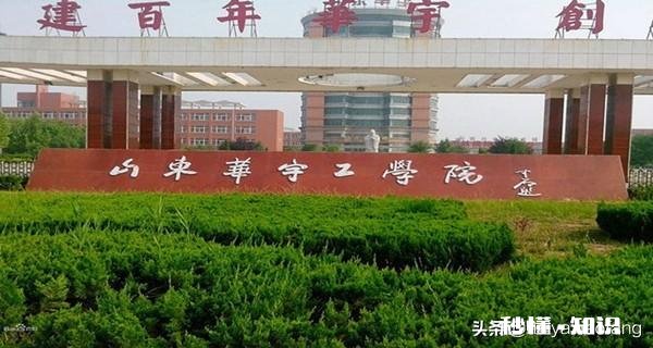 山东华宇工学院和德州职业技术学院那个好啊