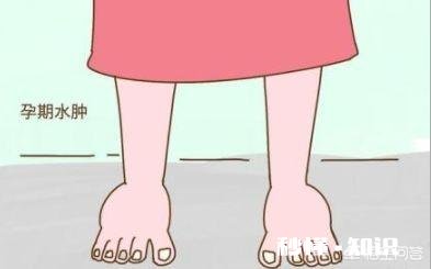 怀孕中期有些什么问题需要注意