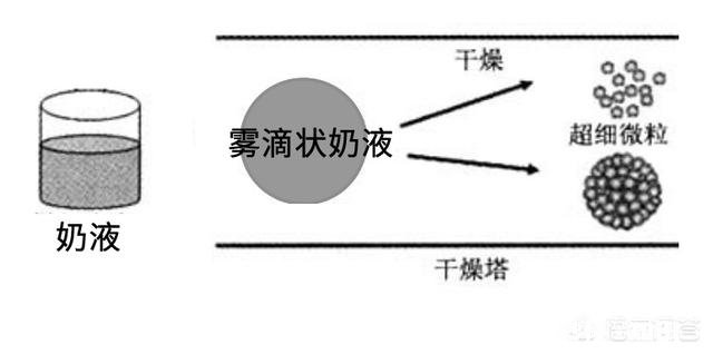 牛奶挤出来是液体，是怎么变成奶粉的，奶粉和液体奶哪个更营养