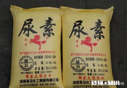 玉米播种一个月后还能施肥吗