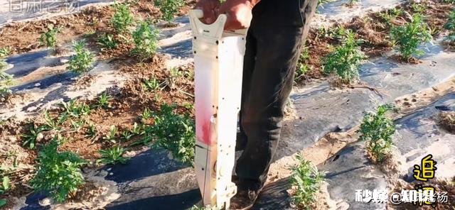 玉米播种一个月后还能施肥吗