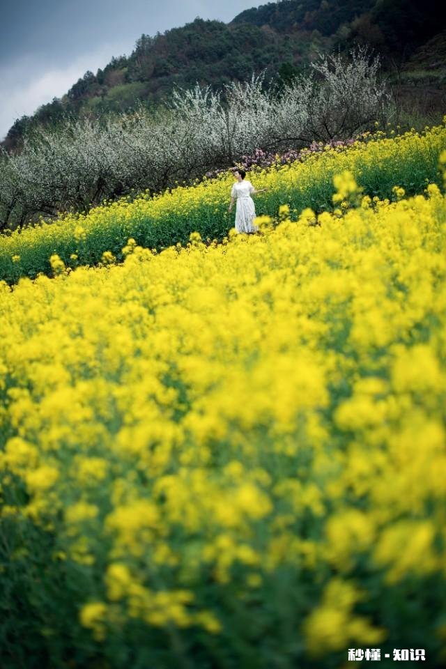 清明节忌讳互相问好吗
