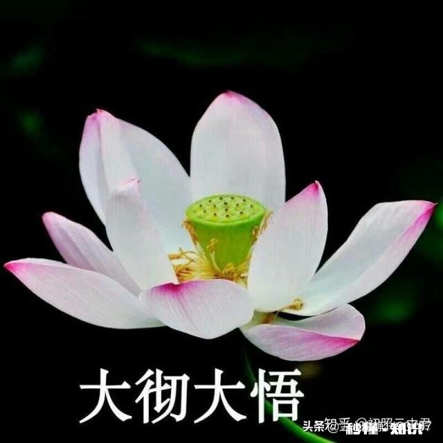 看破、放下、自在、随缘，你做到哪一步了