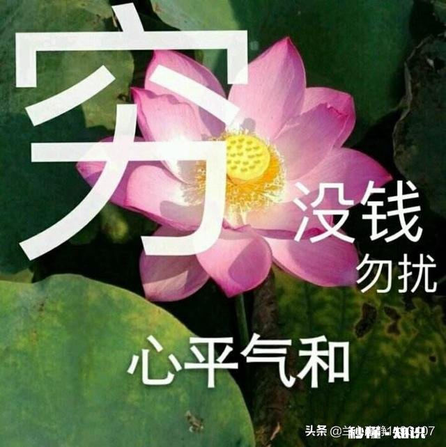 看破、放下、自在、随缘，你做到哪一步了