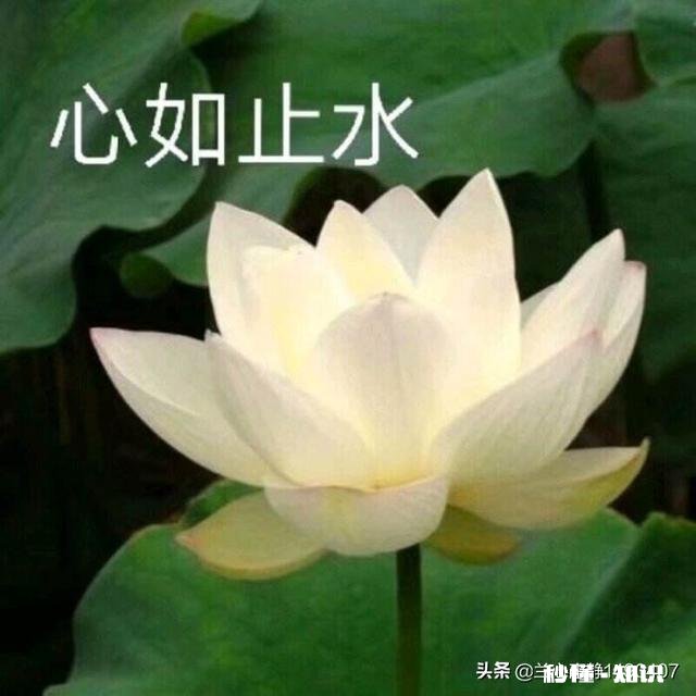 看破、放下、自在、随缘，你做到哪一步了