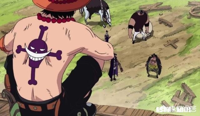 黑胡子为何不夺走艾斯的烧烧果实，反而等待着白胡子的震震果实