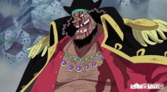 黑胡子为何不夺走艾斯的烧烧果实，反而等待着白胡子的震震果实