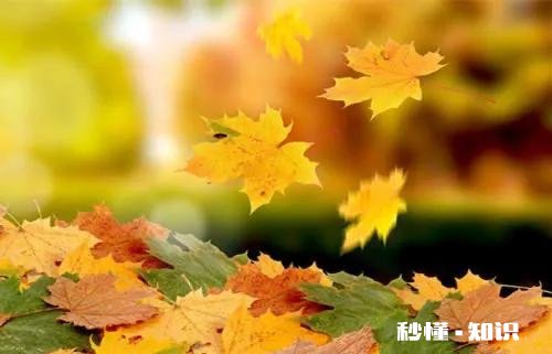 上联:春色恼人眠不得，明月偷窥花影。下联怎么对