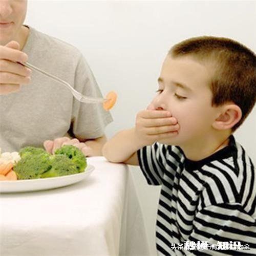 两岁宝宝只吃肉不吃菜，有哪些方法可以帮助宝宝爱上吃蔬菜
