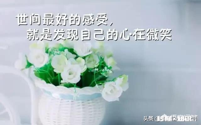 有人说“表面上越是冷漠的人，内心越柔软”你认同这句话吗为什么