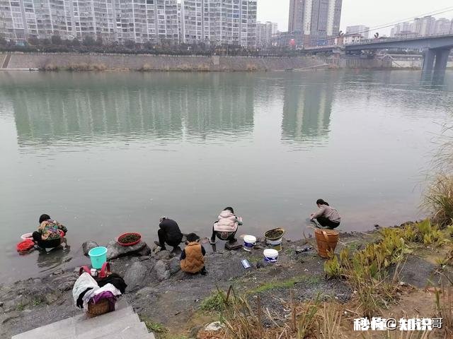 疫情期间，导游该怎么提升自己