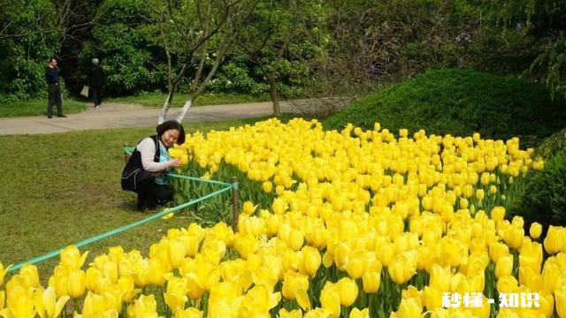 疫情期间，导游该怎么提升自己