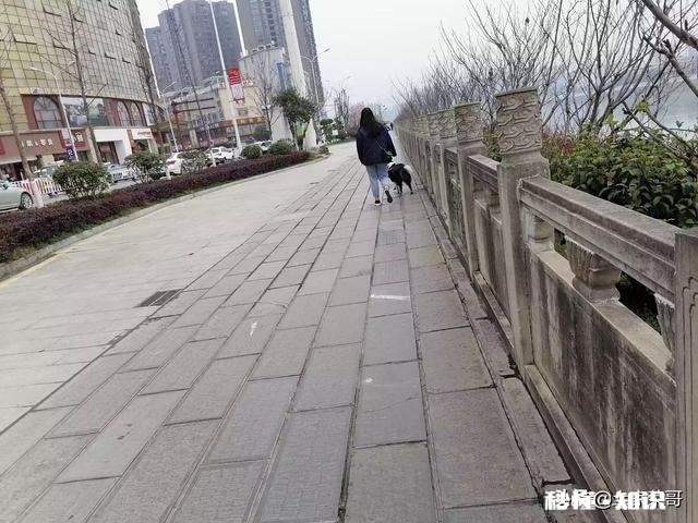 疫情期间，导游该怎么提升自己