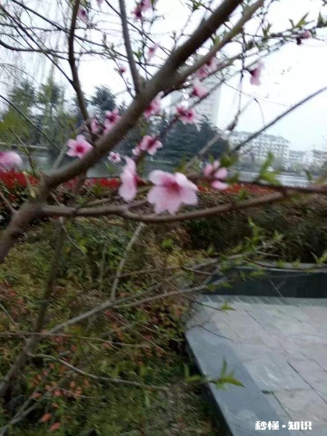 疫情期间，导游该怎么提升自己