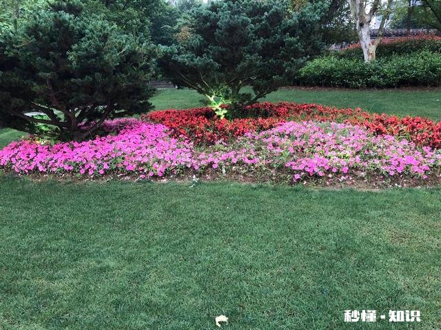 两种毛线怎么织好看