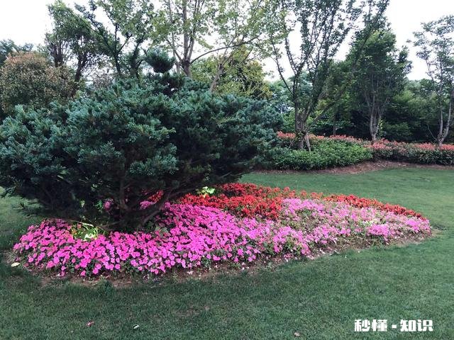 两种毛线怎么织好看