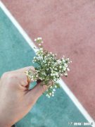 怎么教小学一年级写短文