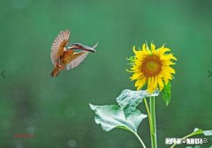 请问下各位前辈选购相机时是否应该把续航也作为一个重要考量因素