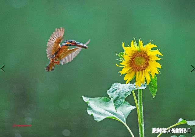 请问下各位前辈选购相机时是否应该把续航也作为一个重要考量因素