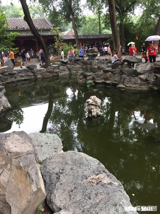 那些因为爱情而结婚的女孩们后来过的怎么样