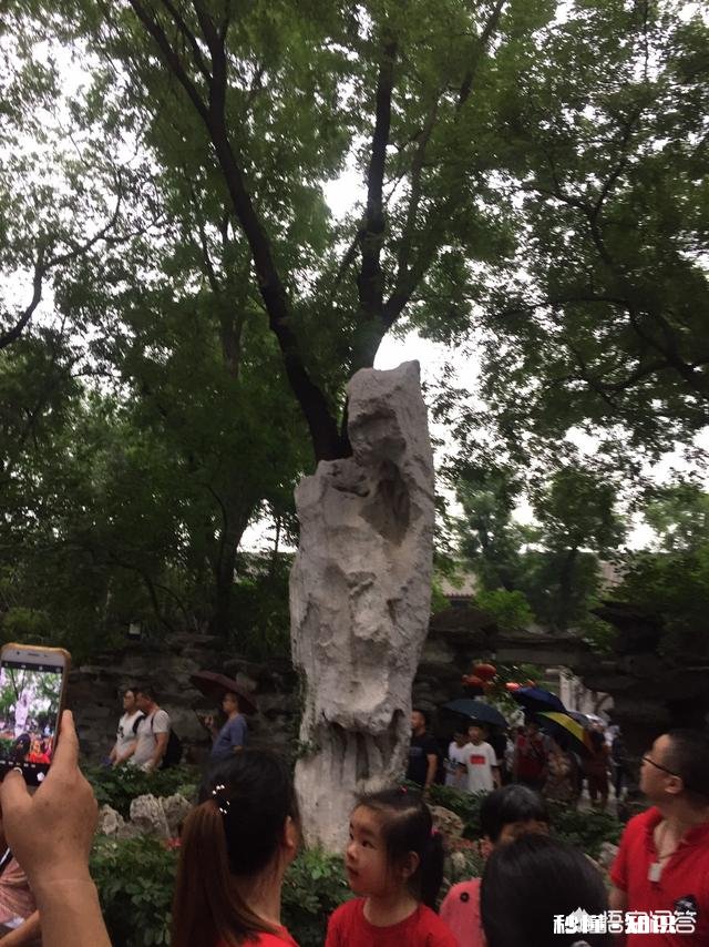 那些因为爱情而结婚的女孩们后来过的怎么样