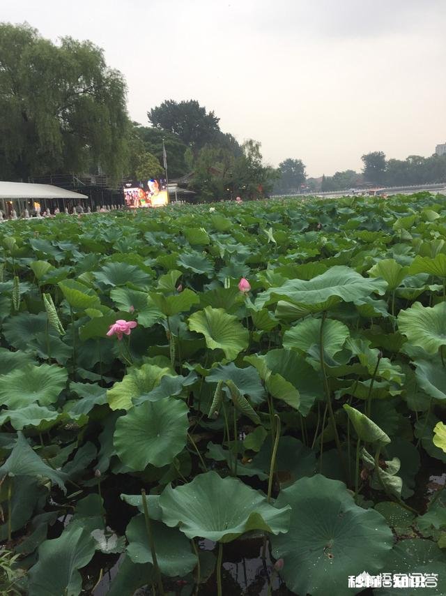 那些因为爱情而结婚的女孩们后来过的怎么样