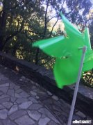 那些因为爱情而结婚的女孩们后来过的怎么样