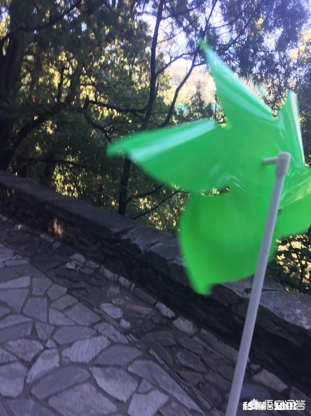 那些因为爱情而结婚的女孩们后来过的怎么样