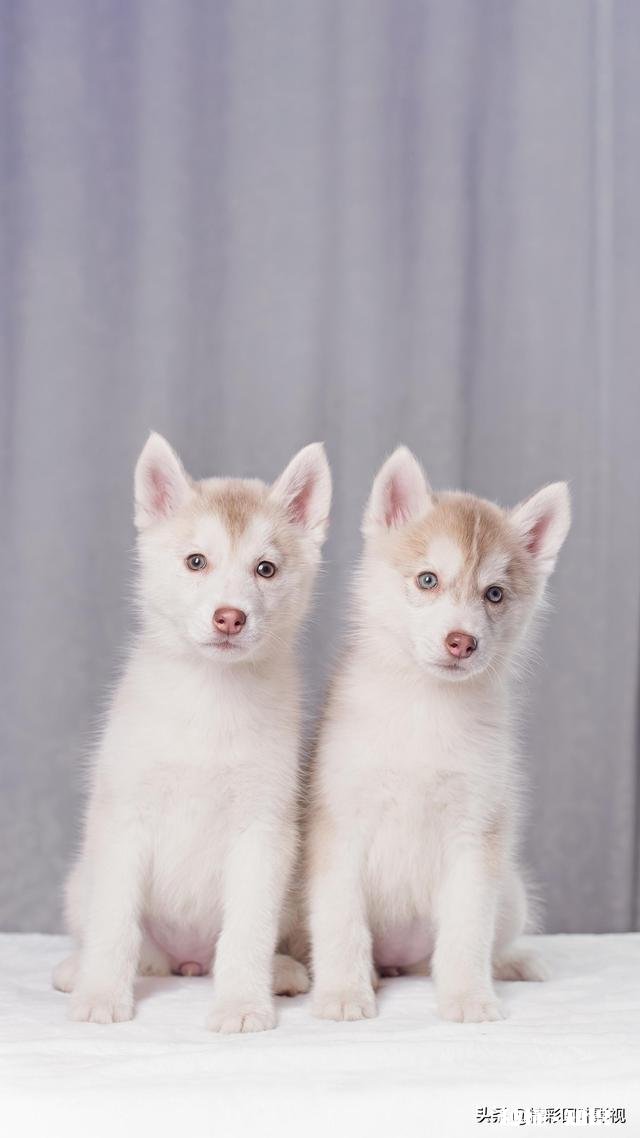 女生和男生一起吃饭，该怎么付钱呢