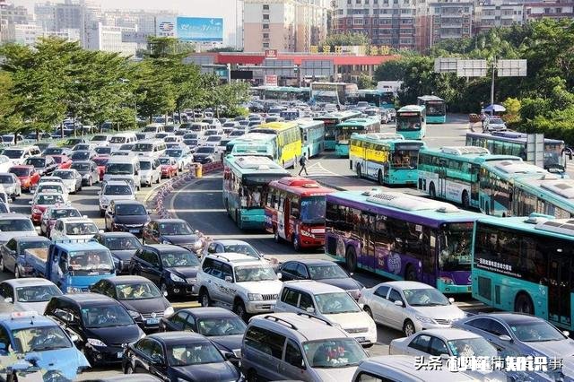 深圳：小车多次违法未处理被查，车厢之内竟“别有一番天地”, 你怎么看