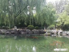 郑州10年前买的房子，去年发现“缩水”30多平，开发商：不退房款, 你怎么看