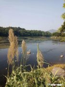 你听过让你感动的歌曲是什么