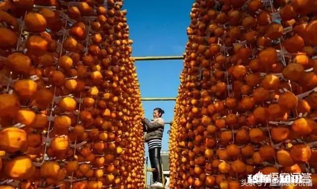 五谷丰登的近义词是什么