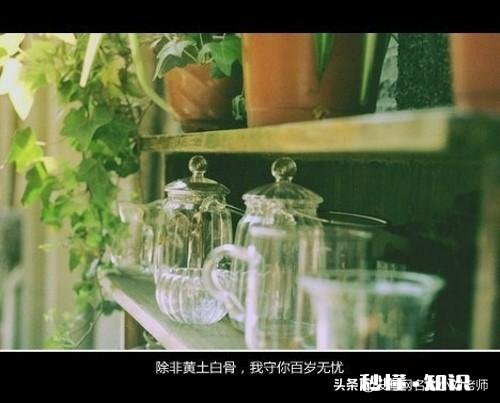 如何摆脱一个既爱又恨的人