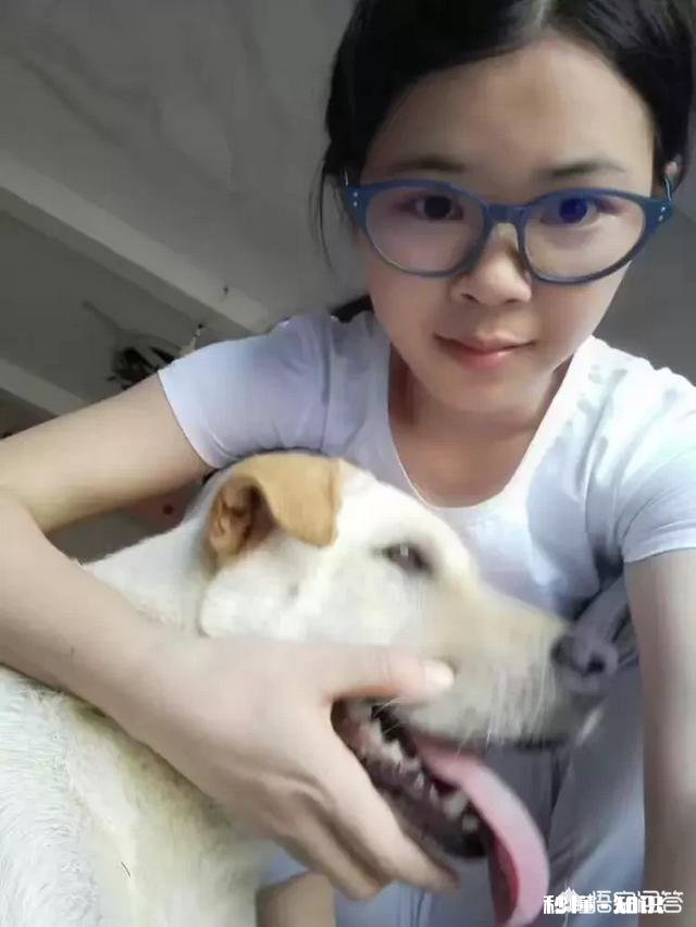 为什么有的狗狗会歪头看你