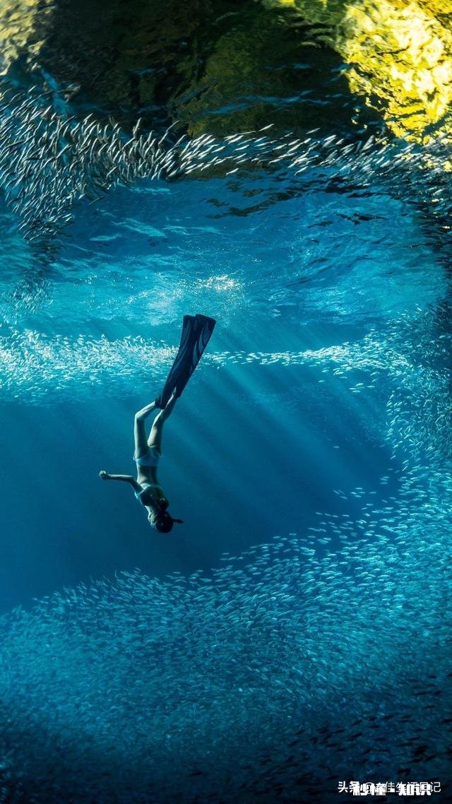 亲，35岁女孩能找份什么高收入工作呢