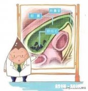 胆结石会有不均质高回声吗