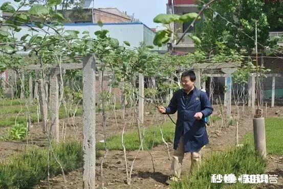 春季清园应注意什么