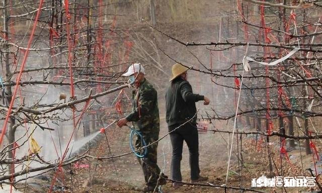 春季清园应注意什么