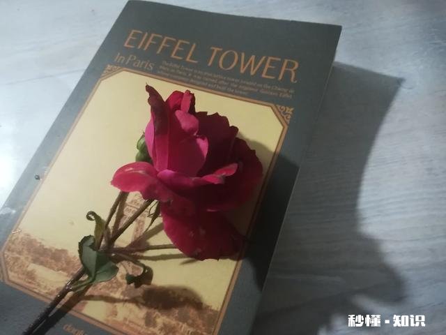 两情若是久长时,又岂在朝朝暮暮您认同吗为什么